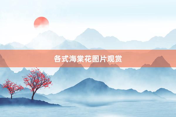 各式海棠花图片观赏