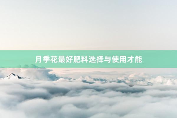 月季花最好肥料选择与使用才能